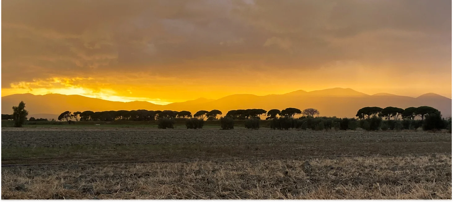 Galleria Toscana 2