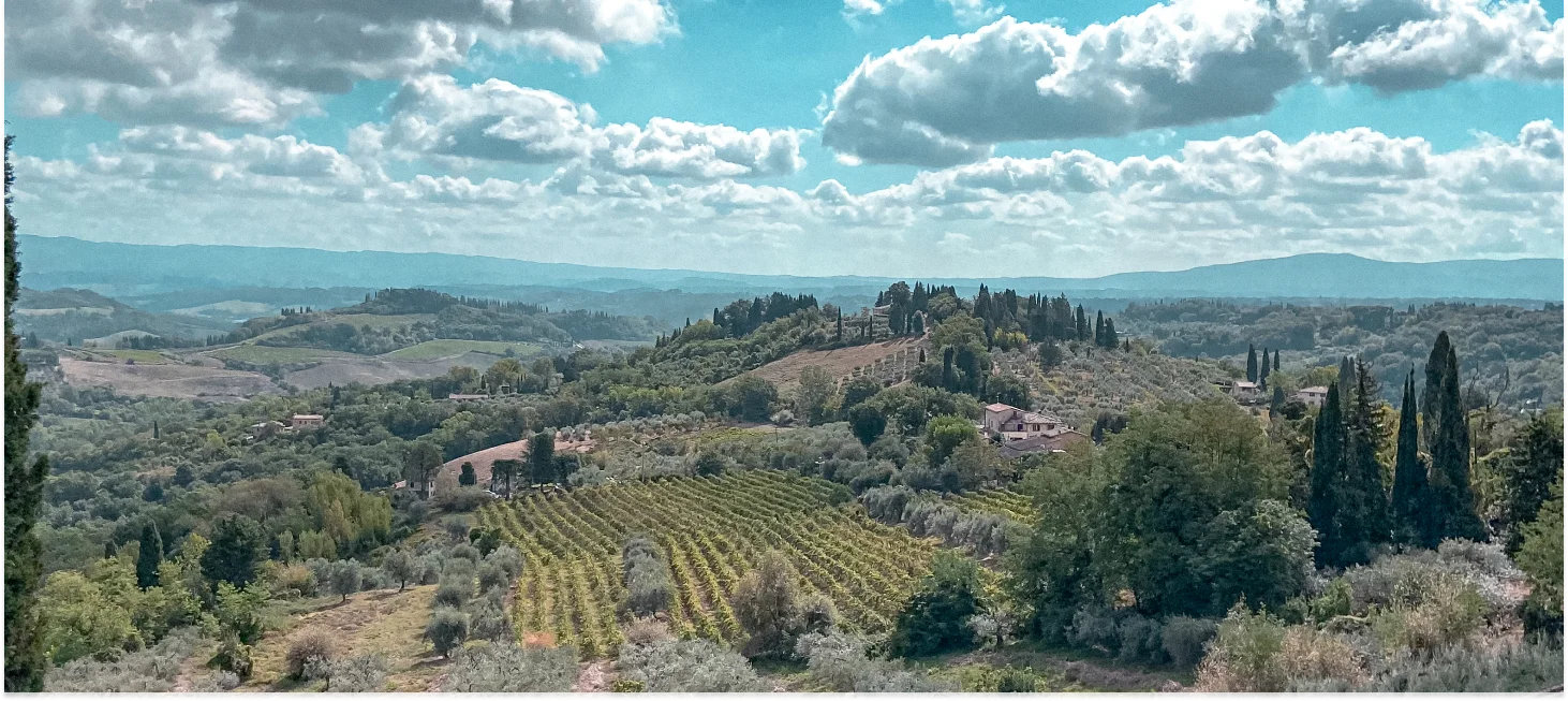 Galleria Toscana 4