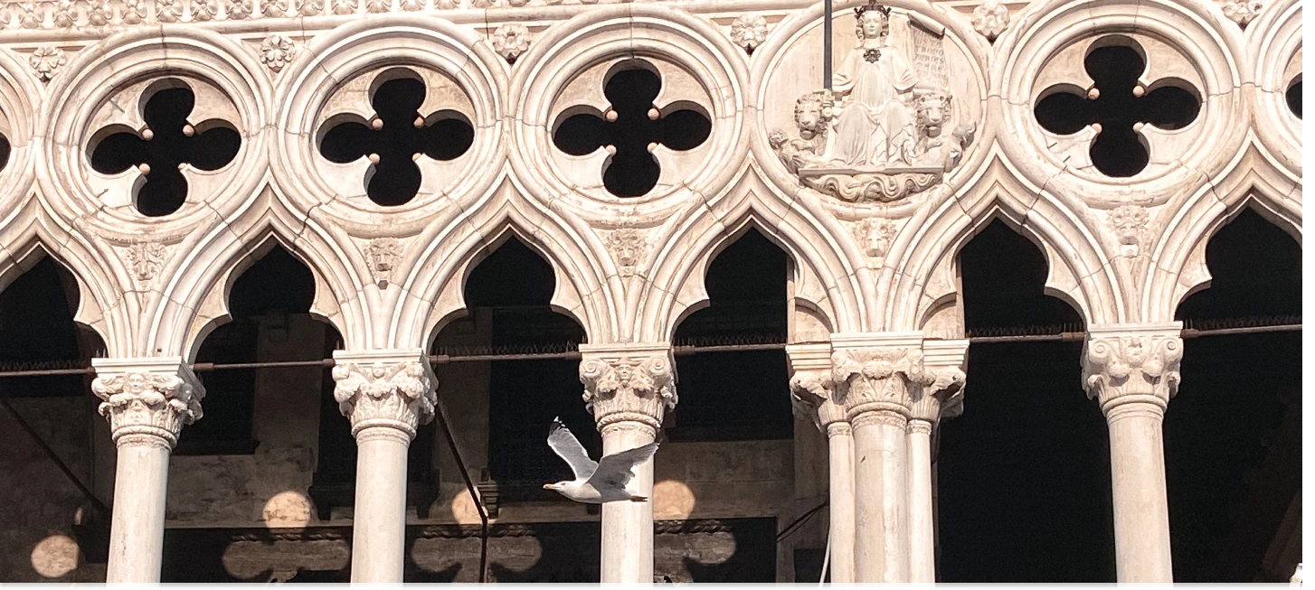 Galleria Venice 3